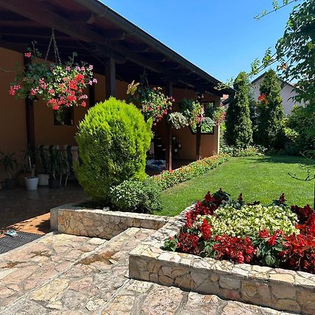 Apartman Samardzic Višegrad 外观 照片