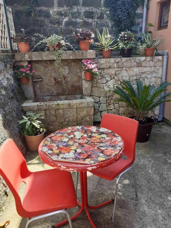 Apartman Samardzic Višegrad 外观 照片